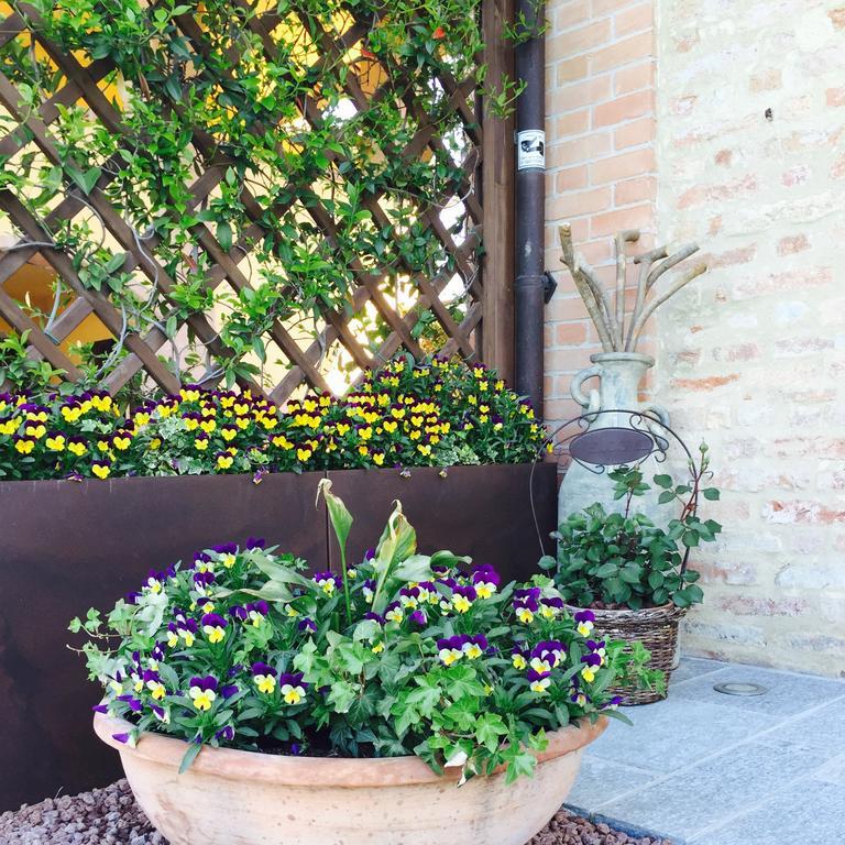 Cascina Cortine Panzió Guarene Kültér fotó